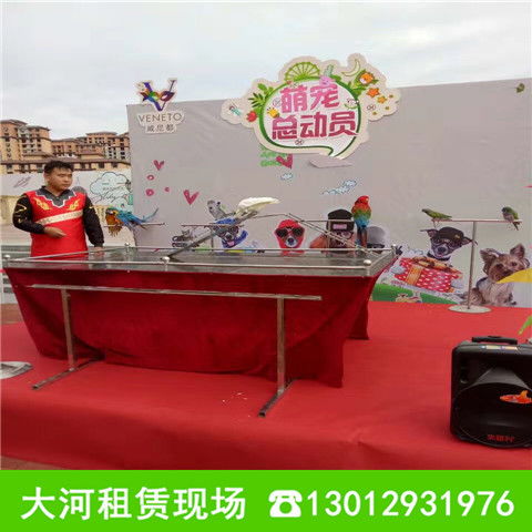 畢節(jié)鸚鵡展覽租賃 百鳥展租賃活動(dòng)公司